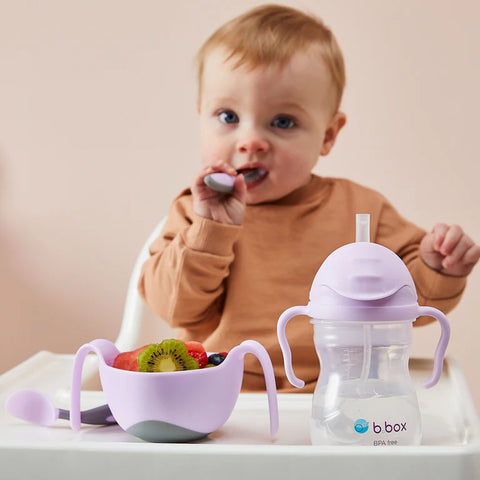 B.Box Sippy Cup-Boysnberry